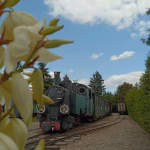 Jak wybrać wycieczkę szkolną? Kompleksowy poradnik dla nauczycieli i rodziców