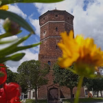 Jak wybrać wycieczkę szkolną? Kompleksowy poradnik dla nauczycieli i rodziców