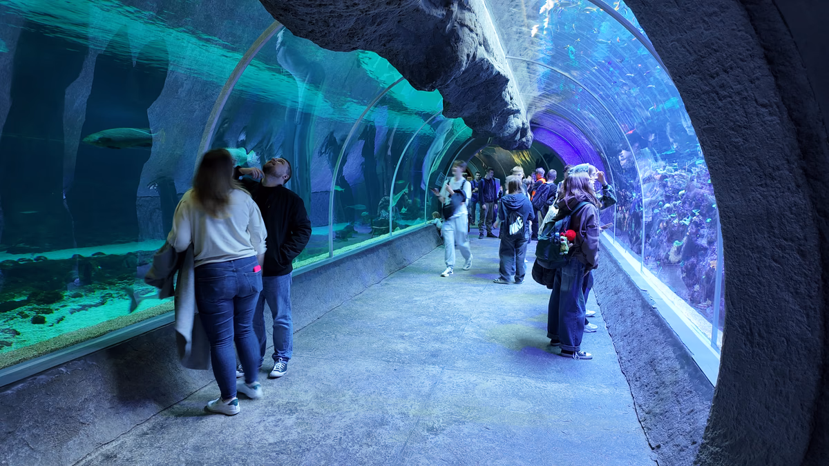 Uczniowie na wycieczce szkolnej w szklanym tunelu podwodnym w oceanarium.