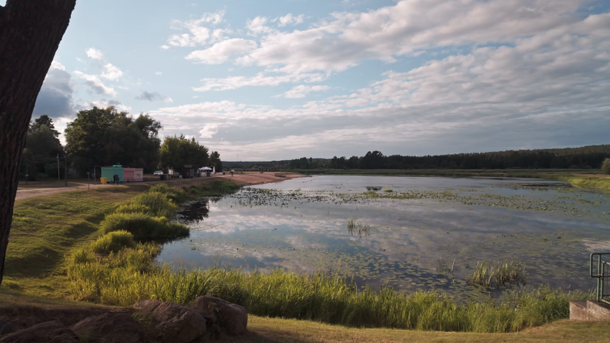 Piaszczysta plaża i zalew w otoczeniu lasu podczas jednodniowej wycieczki szkolnej na łonie natury.
